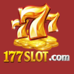 177slot game icon